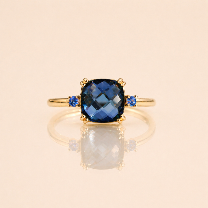 CLÉO BLEU ROI